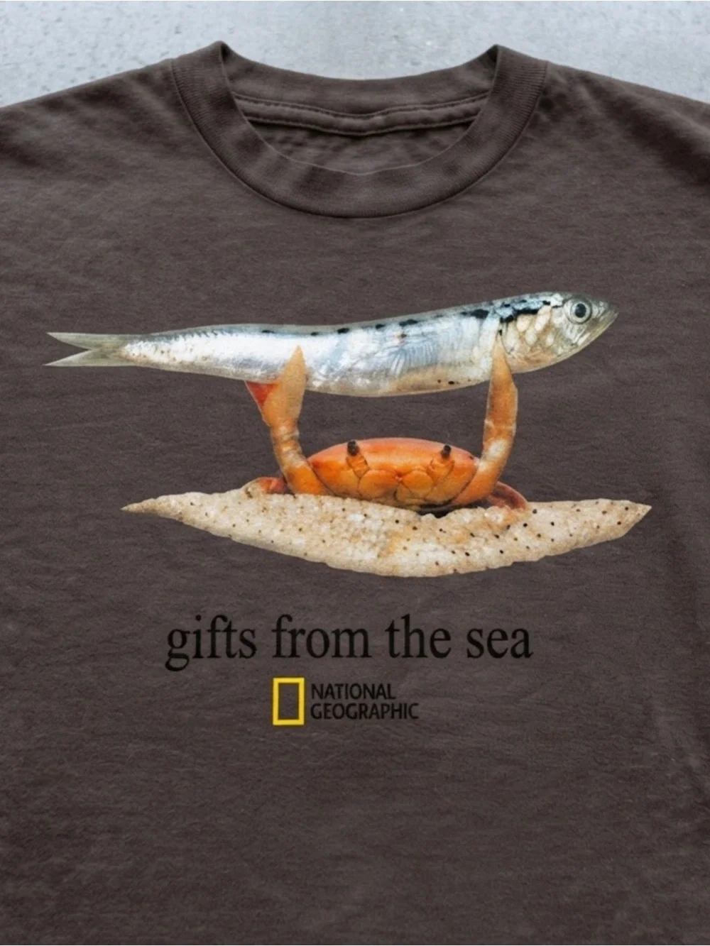 Gifts From The Sea Crab Fish Graphic Gildan Unisex Cotton T-Shirt